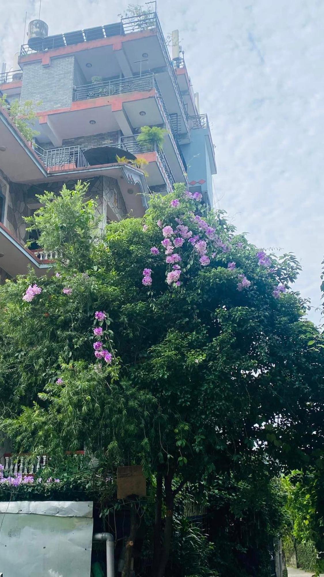 Hotel River Park Pokhara Dış mekan fotoğraf